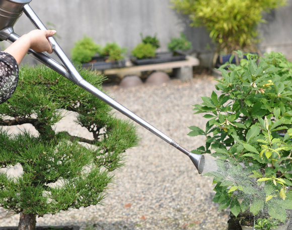 watering