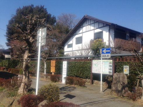 omiya bonsai art museum