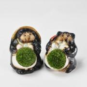 信楽焼福たぬきの苔盆栽 カップル