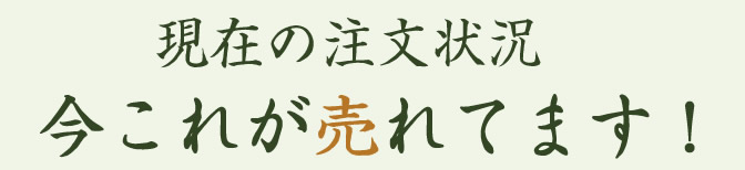 現在のご注文状況 今これが売れてます！