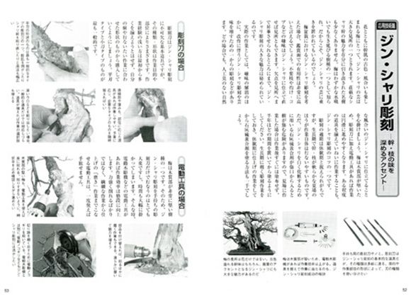 梅・長寿梅育て方書籍　応用技術ページ