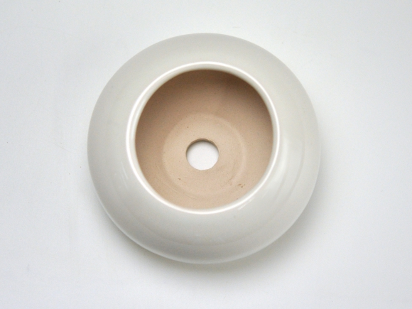 白3.5号 鉢幅約11.cm×高さ約7cm