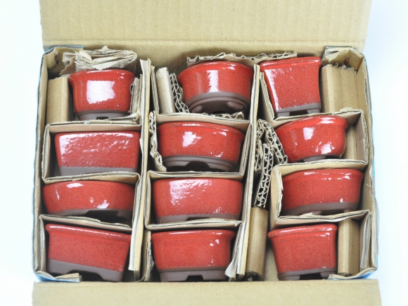赤釉小鉢 12点セット 鉢幅約4cm×高さ約3.5cm