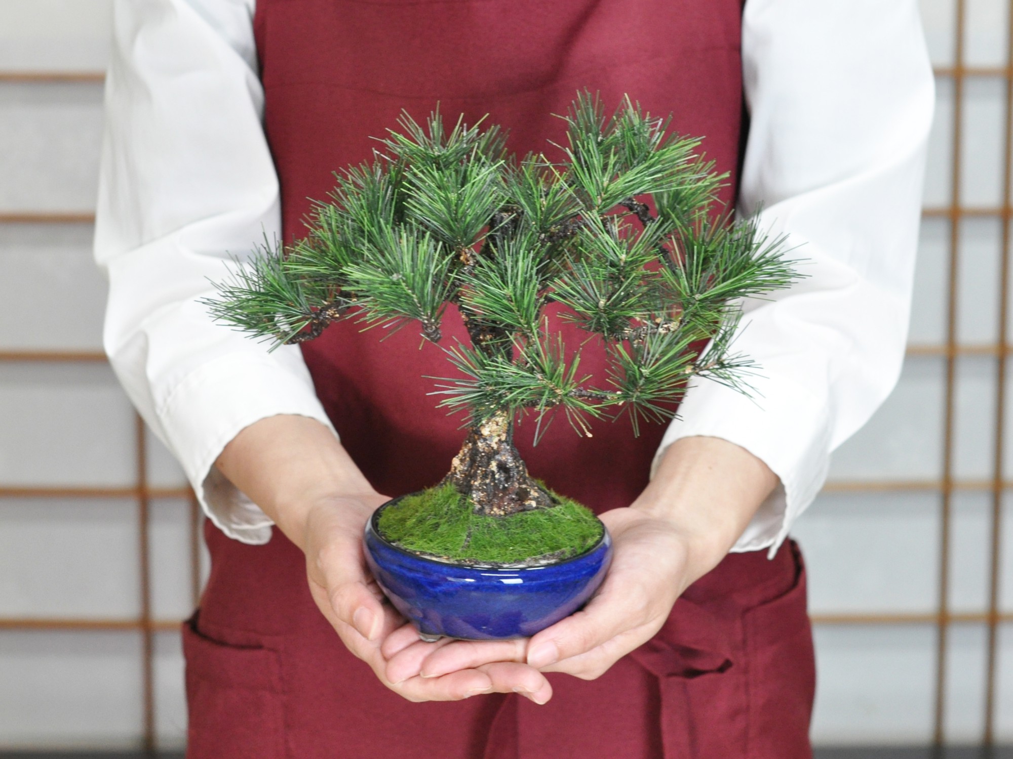 造花盆栽・フェイクグリーン