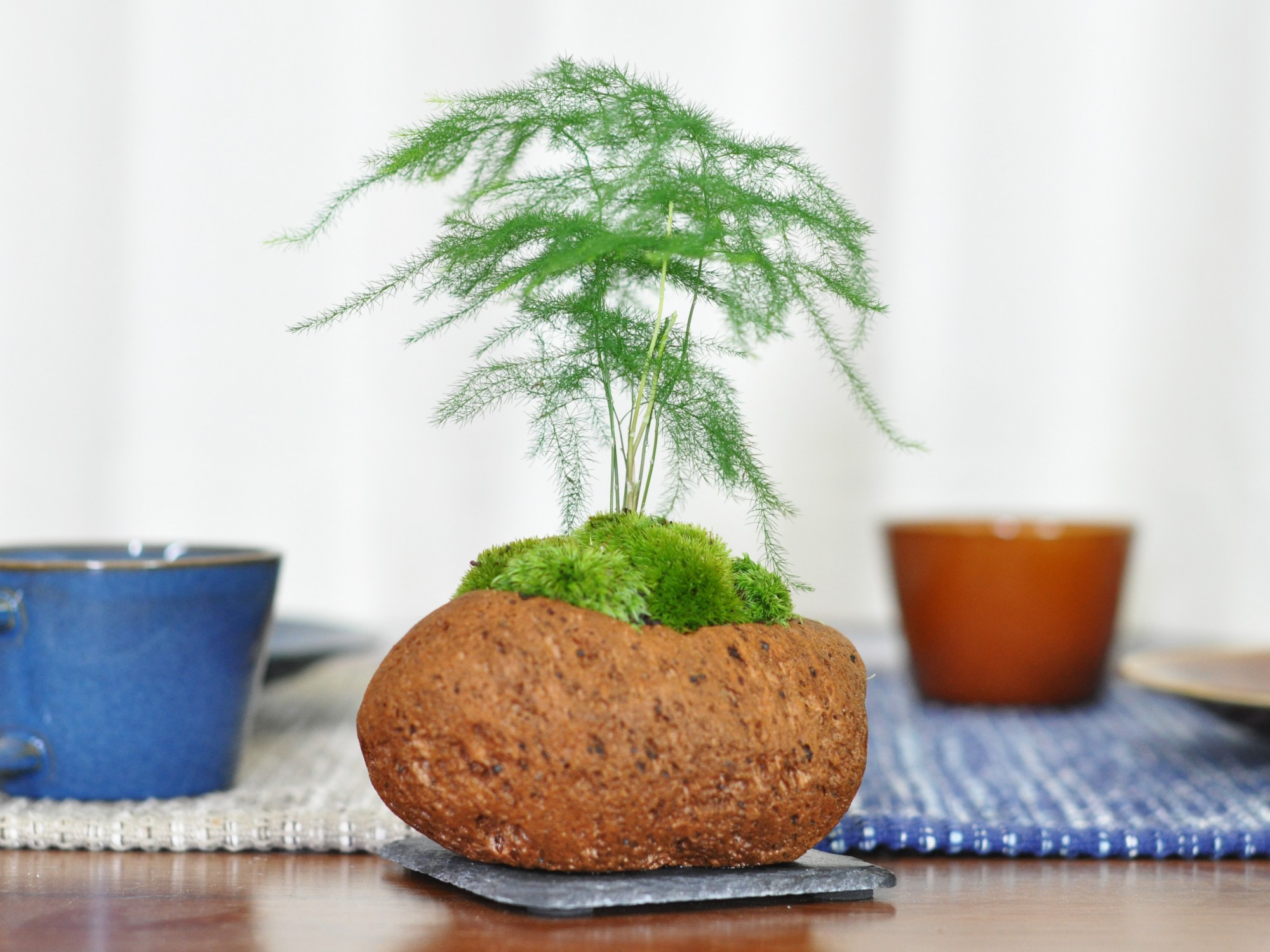 草