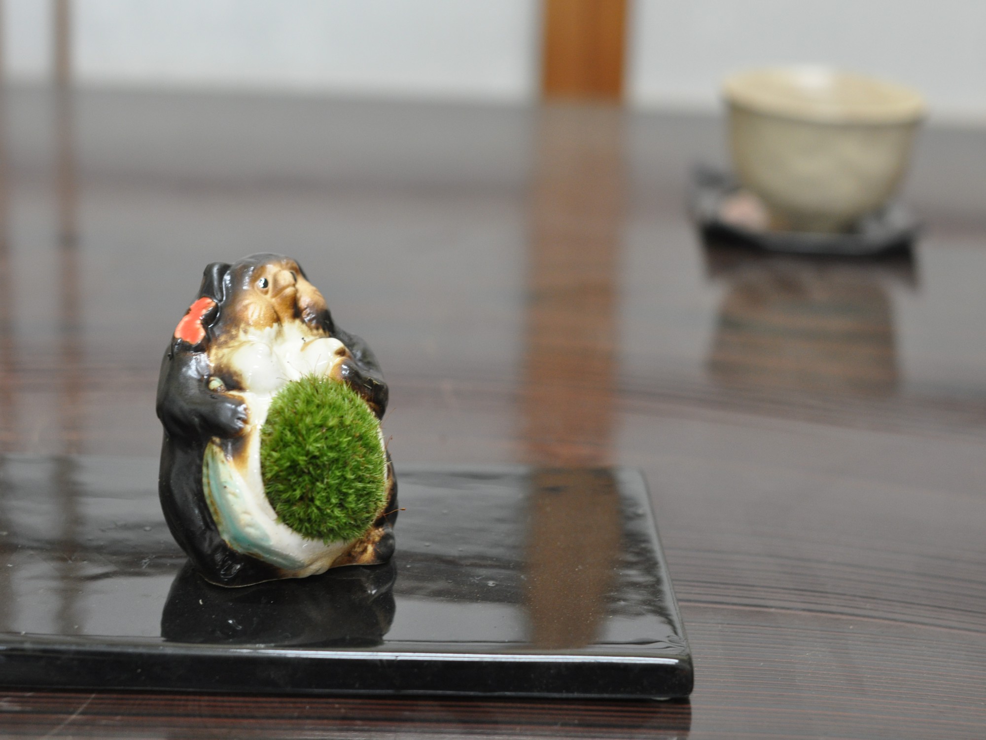 たぬきの苔盆栽