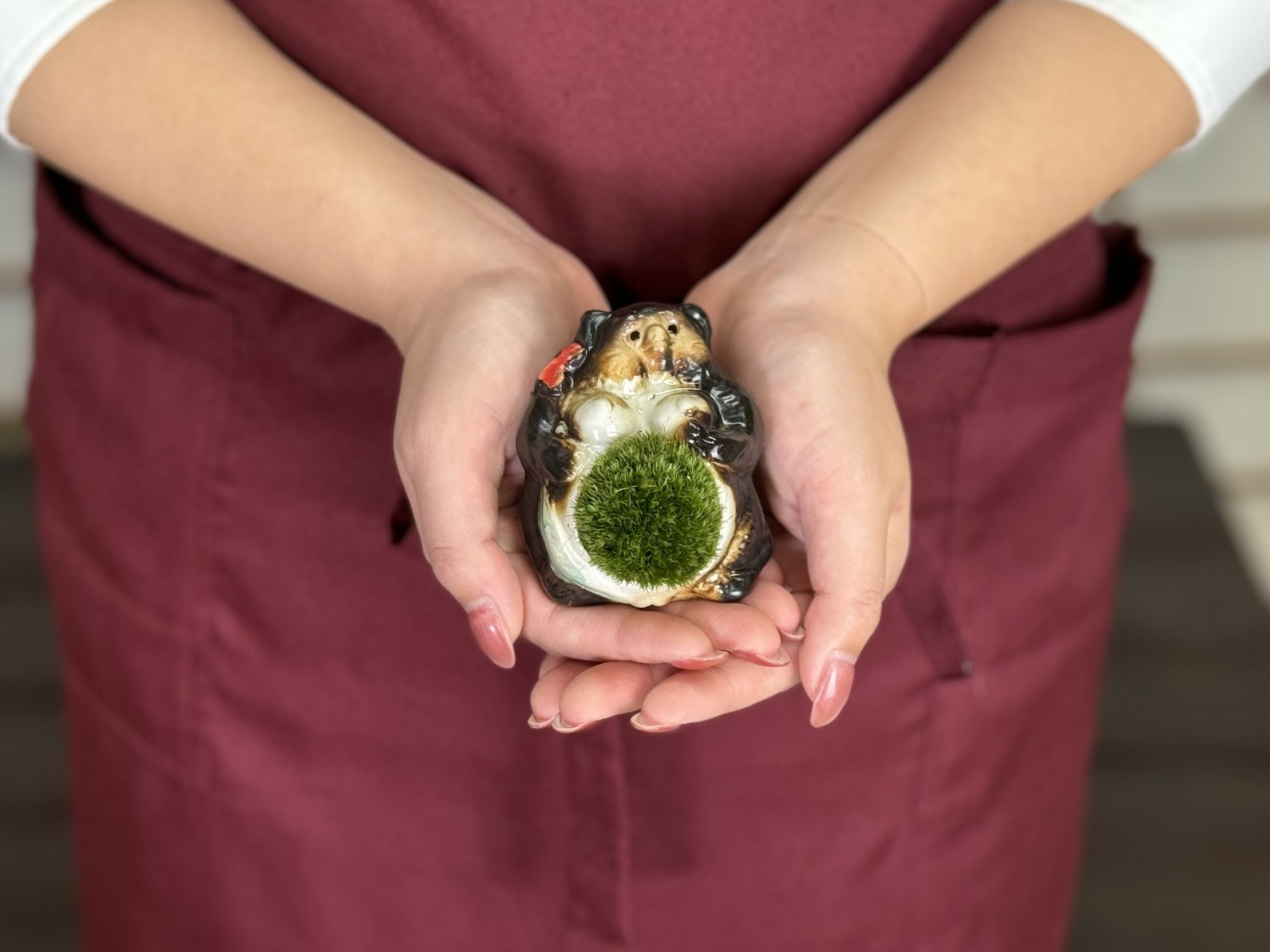 たぬきの苔盆栽