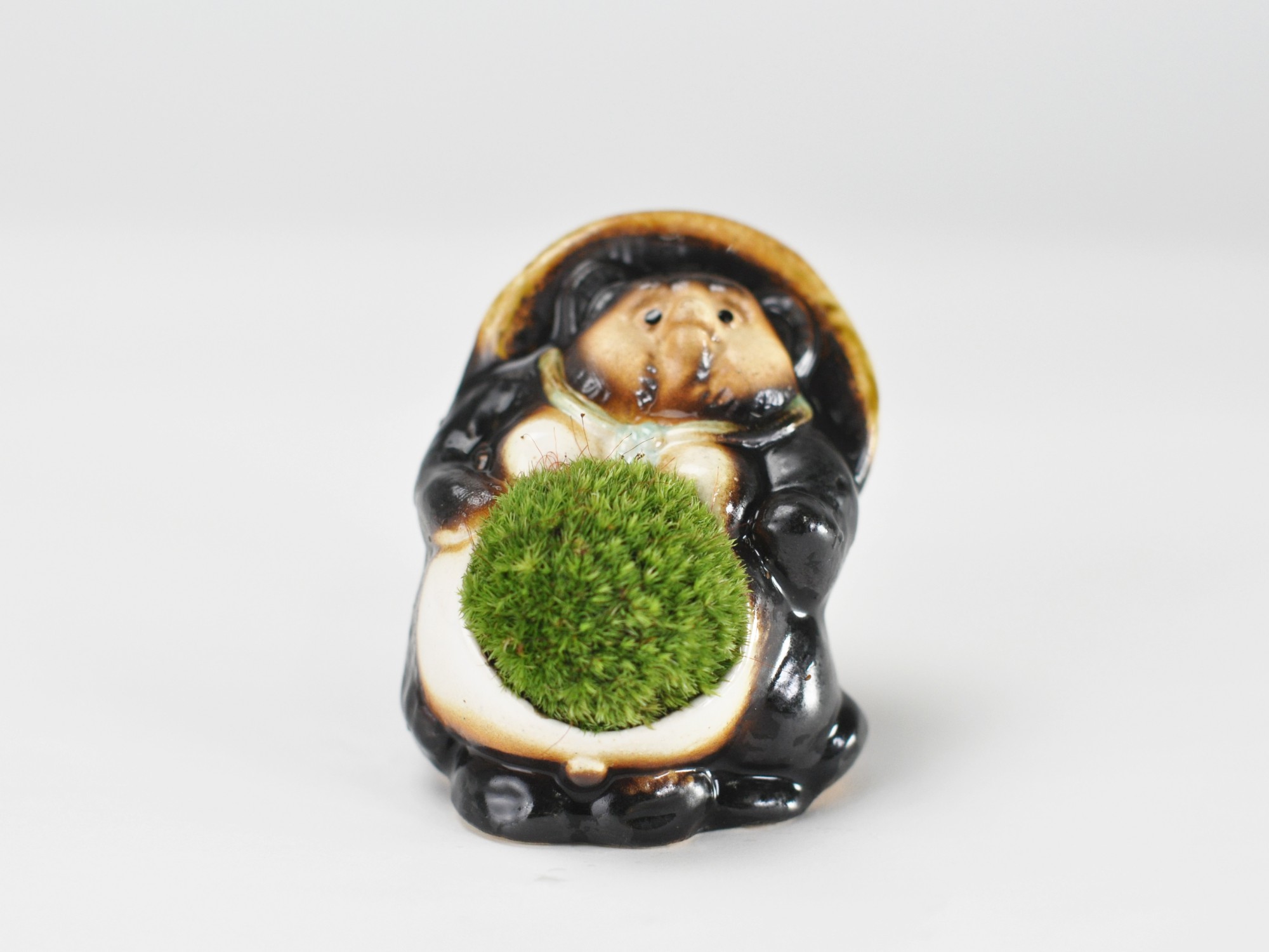 たぬきの苔盆栽