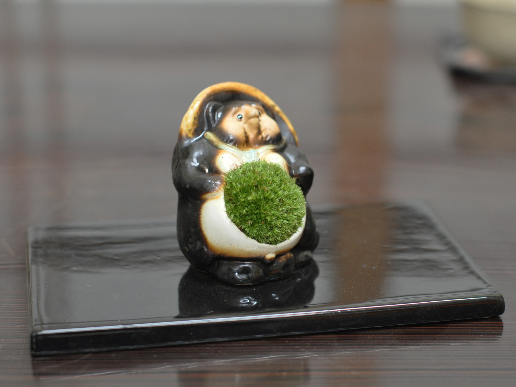 たぬきの苔盆栽