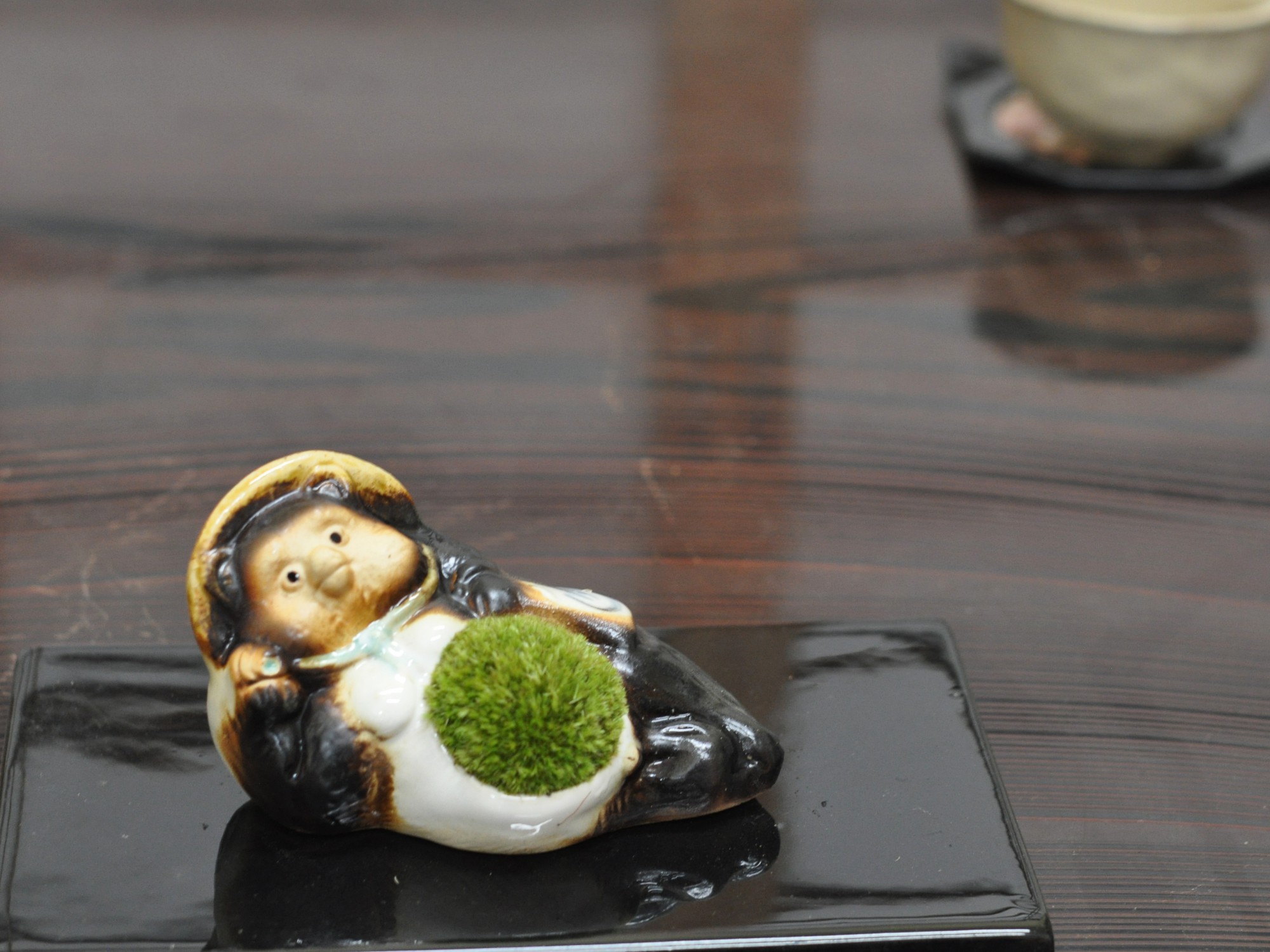 たぬきの苔盆栽