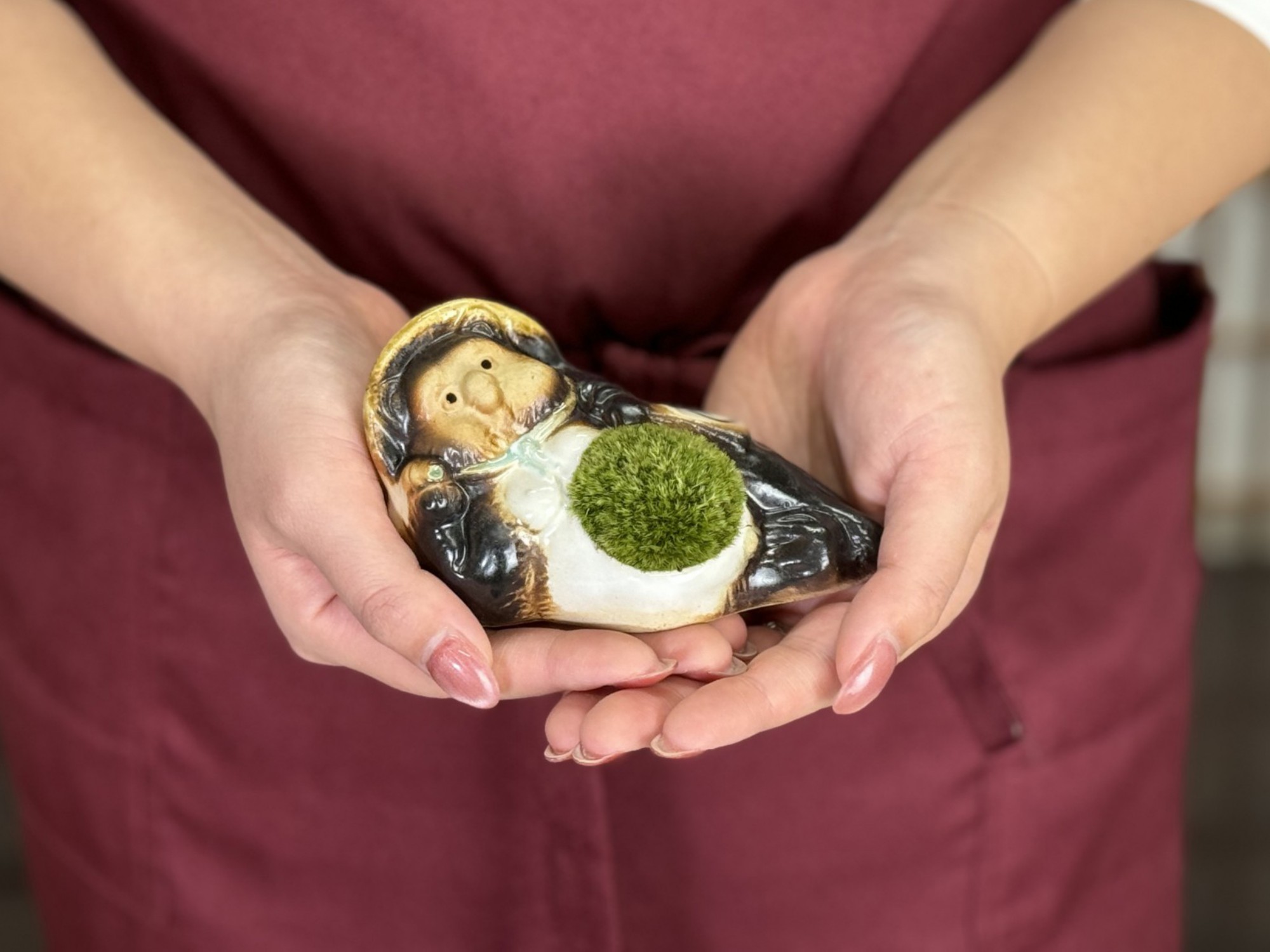 たぬきの苔盆栽