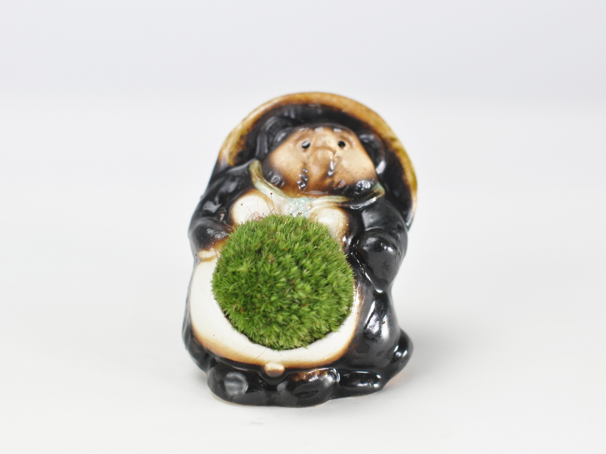たぬきの苔盆栽