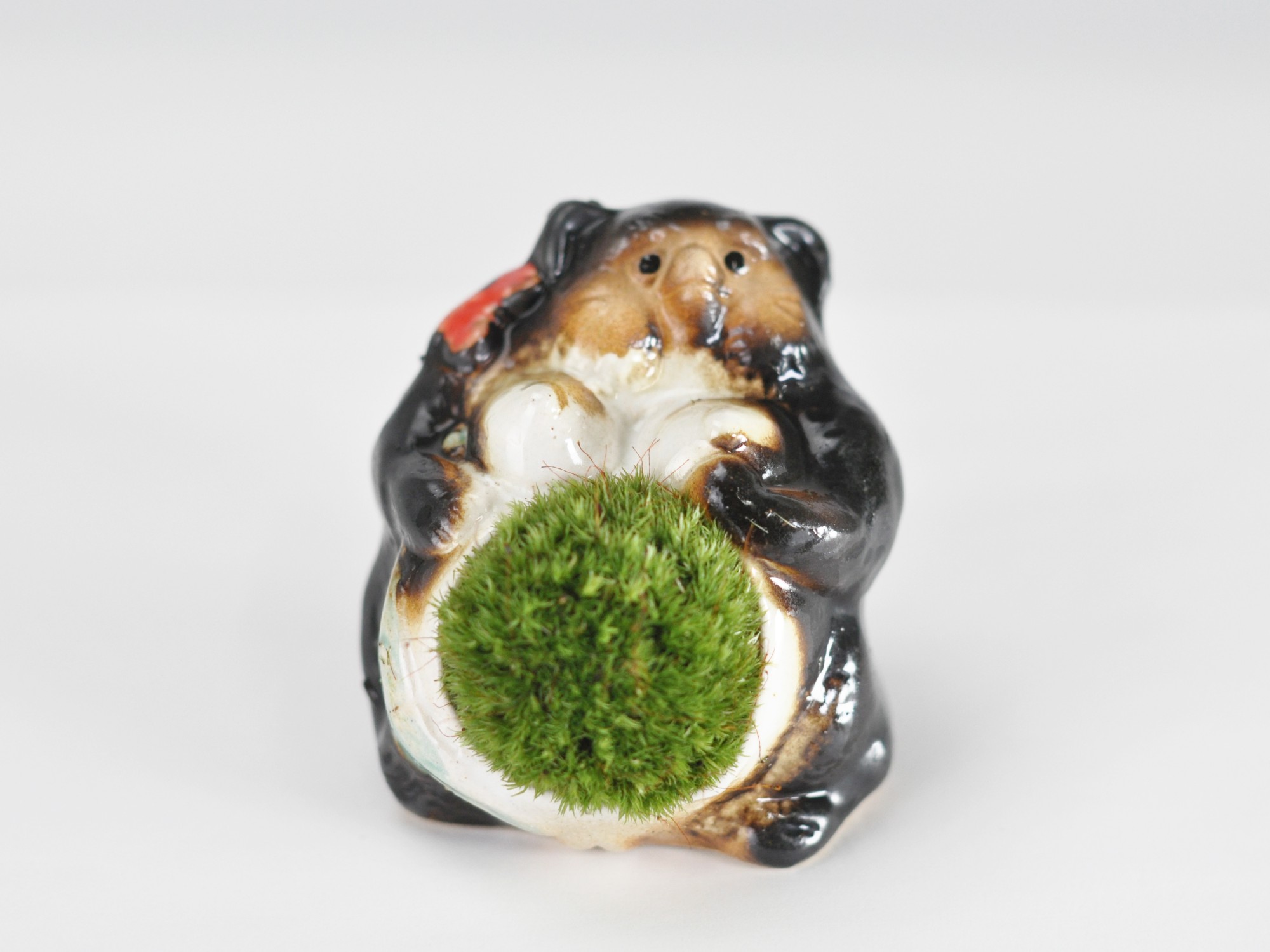 たぬきの苔盆栽