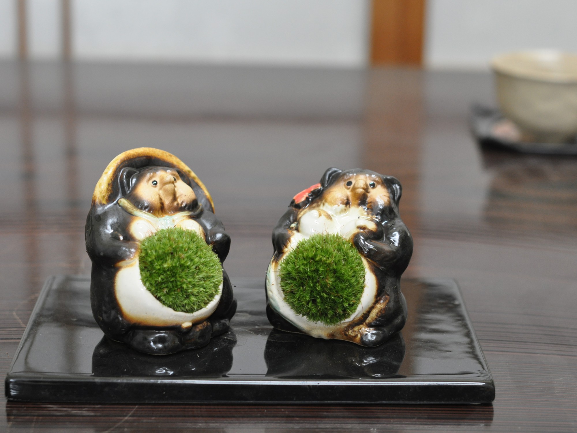 たぬきの苔盆栽
