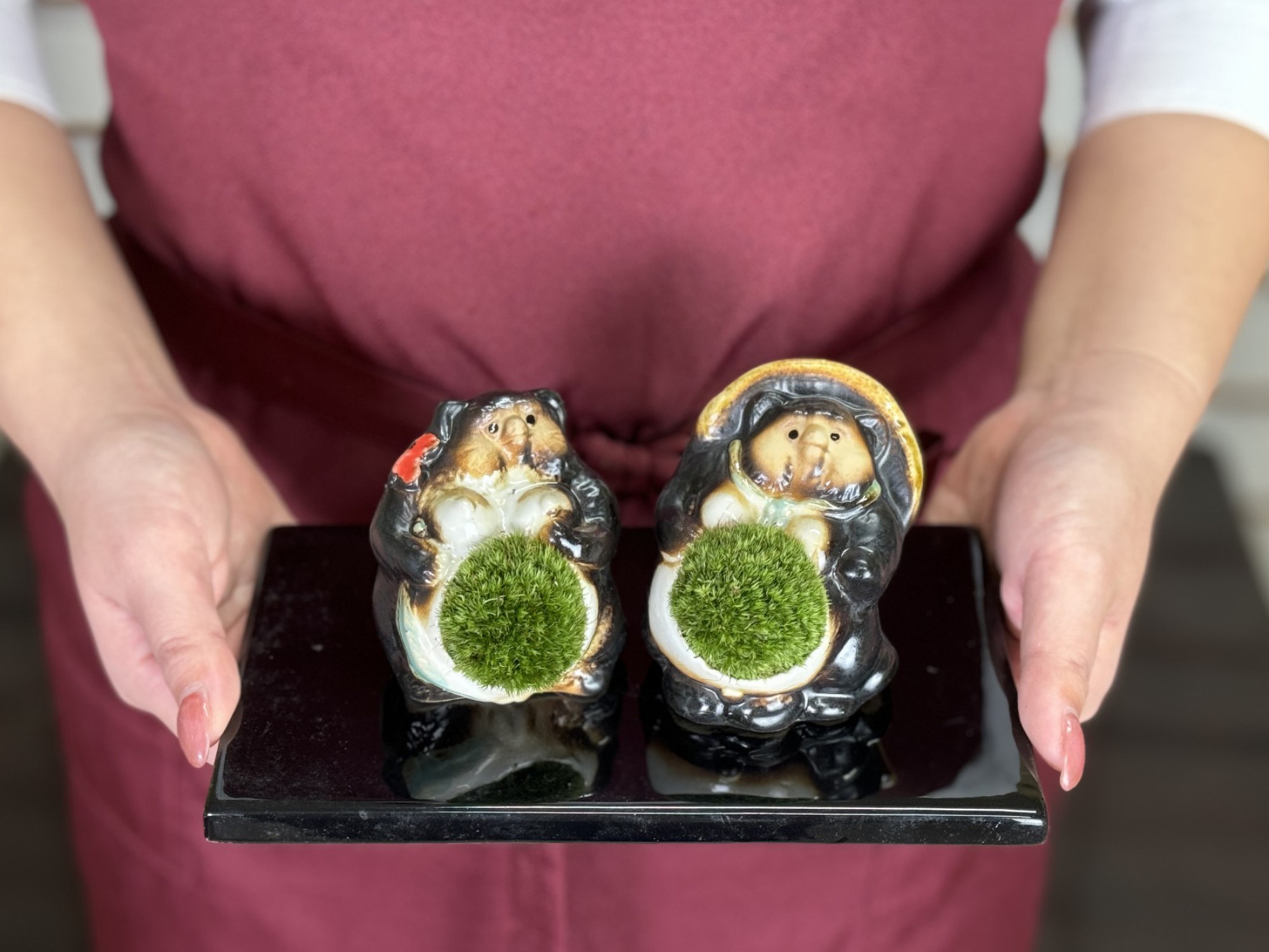 たぬきの苔盆栽