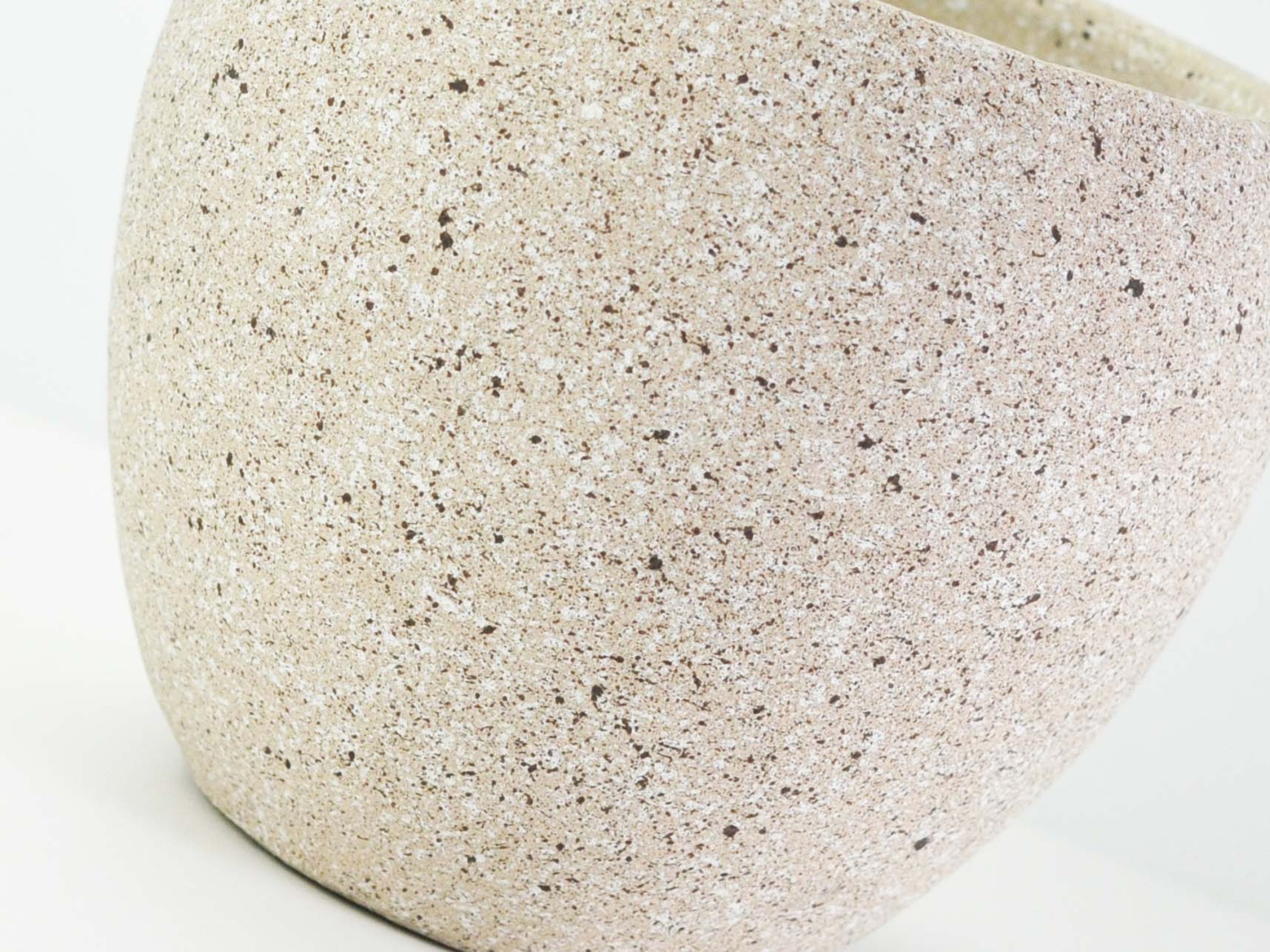 6号鉢(幅18～20cm)