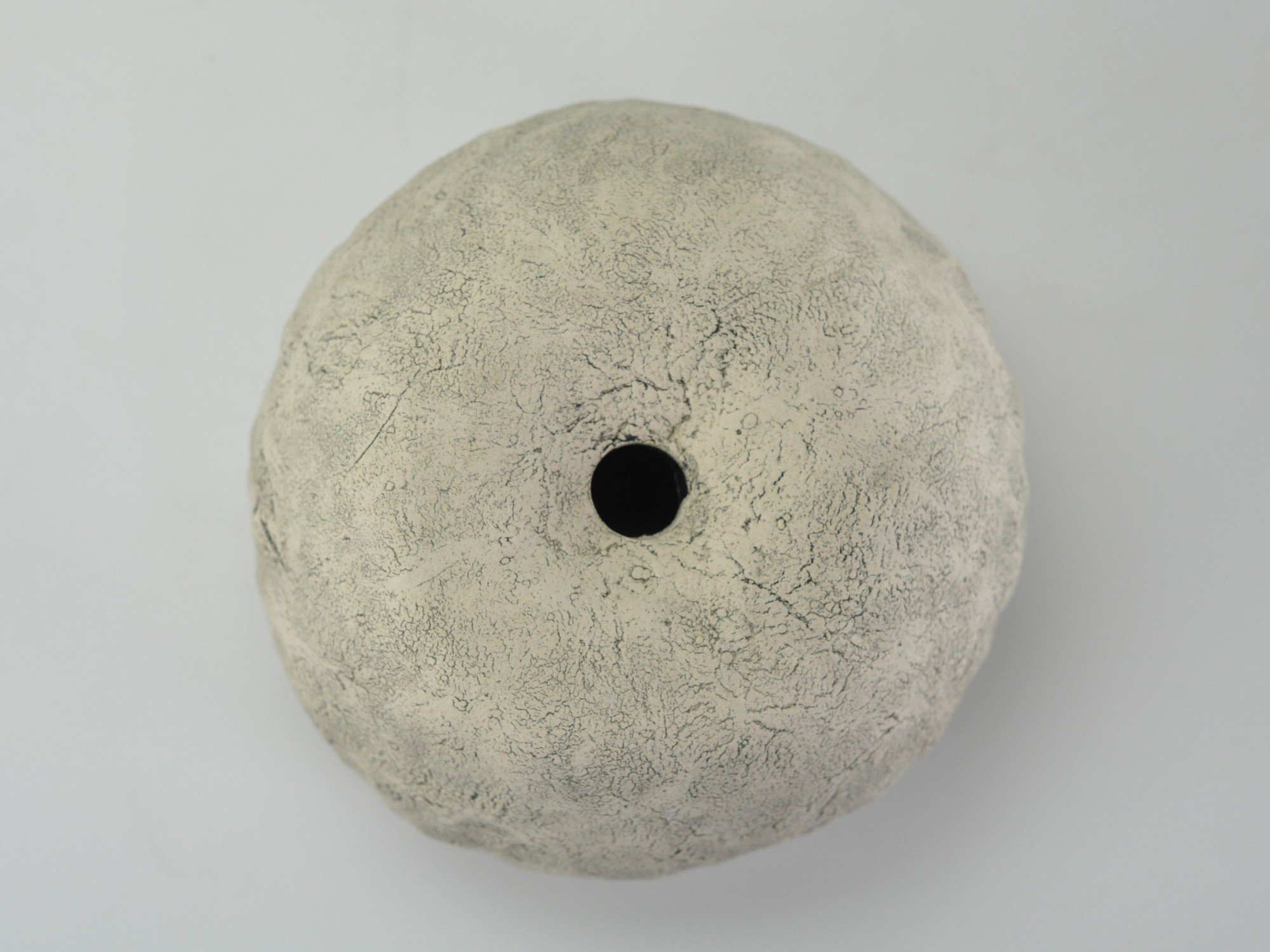 5号鉢(幅14～16cm)
