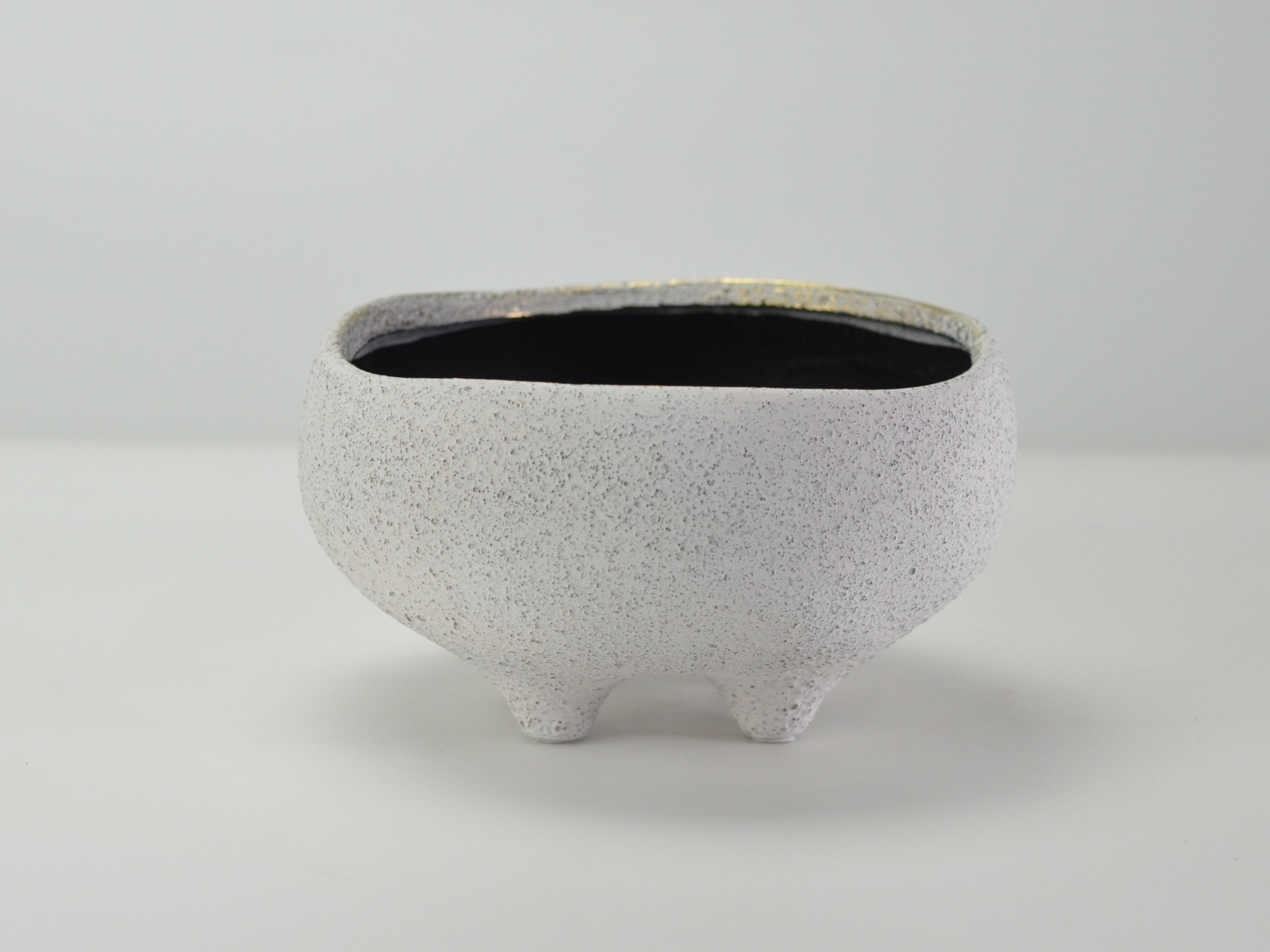 6号鉢(幅18～20cm)