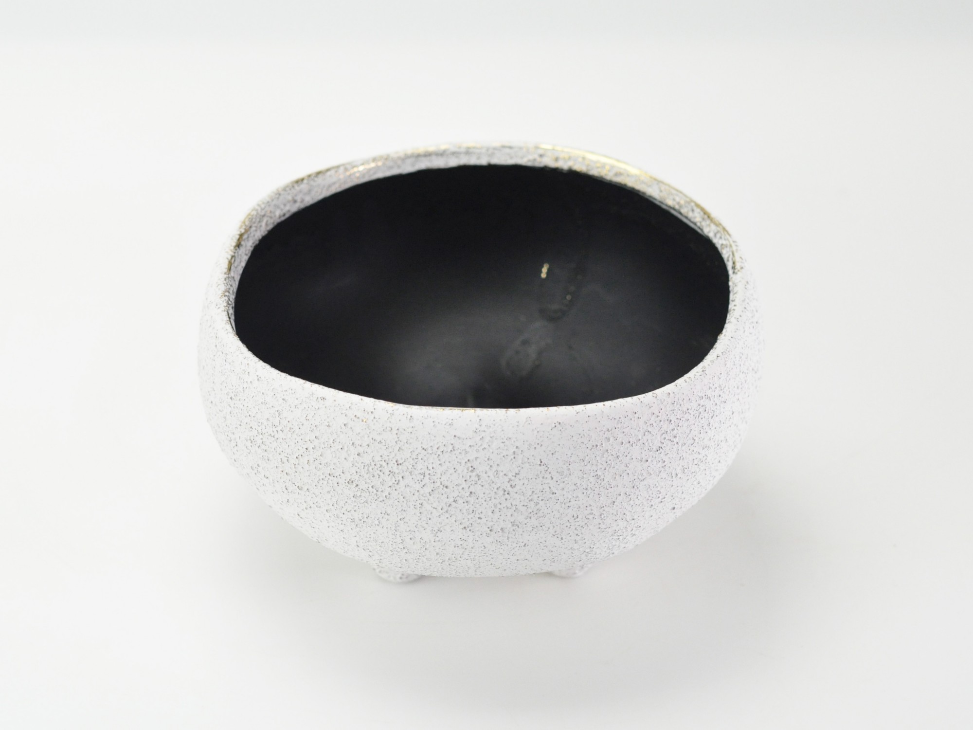 6号鉢(幅18～20cm)