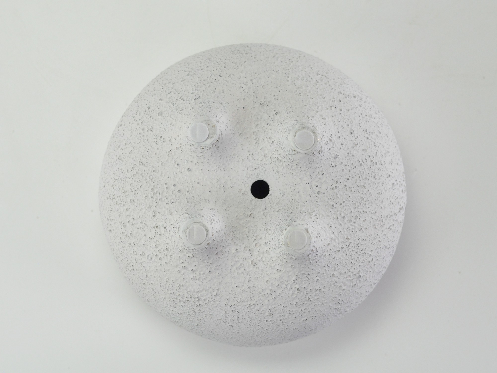 6号鉢(幅18～20cm)