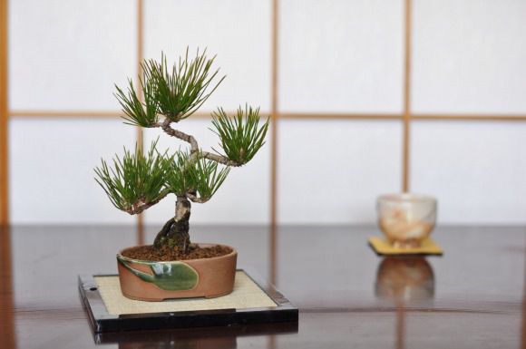 部屋の中で