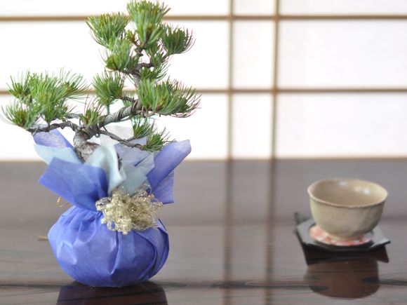 和の贈り物