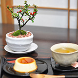 お花の盆栽とお菓子セット ミニ長寿梅と神戸プリン 受け皿付き