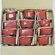赤釉小鉢 12点セット 鉢幅約3〜4cm×高さ約3〜4cm