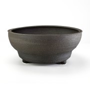 信楽焼 浅丸鉢足付 8号