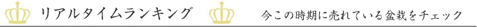 リアルタイムランキング